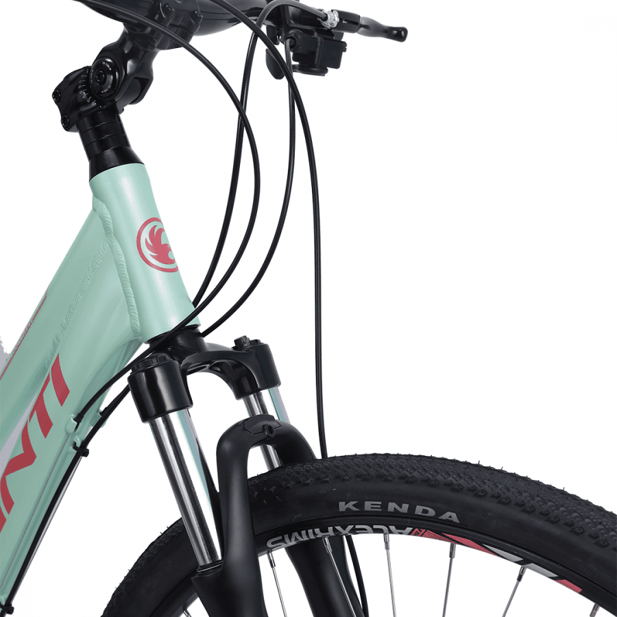 Avanti ladies bike deals