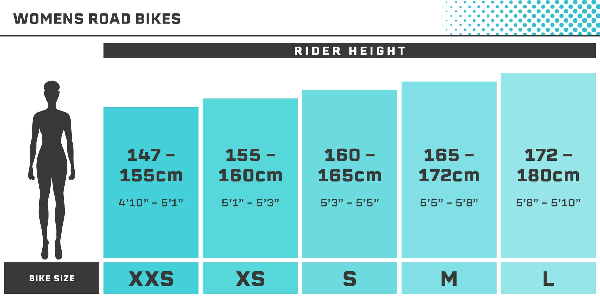 size chart image